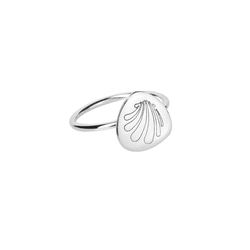 Anillo Concha Chapa - Imagen 1