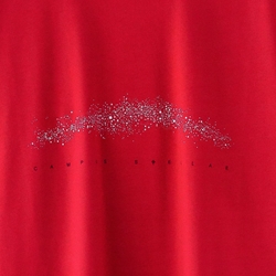 Camiseta Campus Stellae - Imagen 2