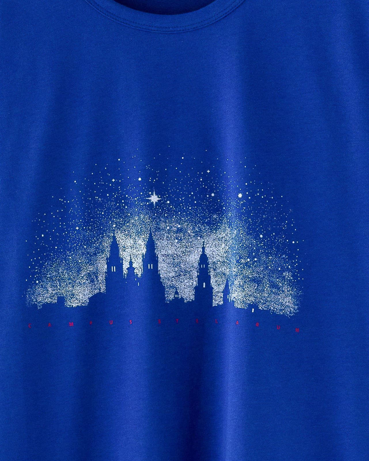 Camiseta Catedral - Imagen 2