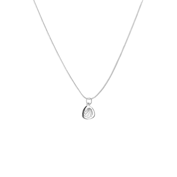 Colgante Concha Chapa - Imagen 2